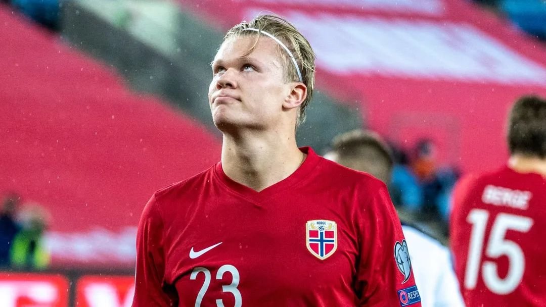 阵容与细节 阵容与细节